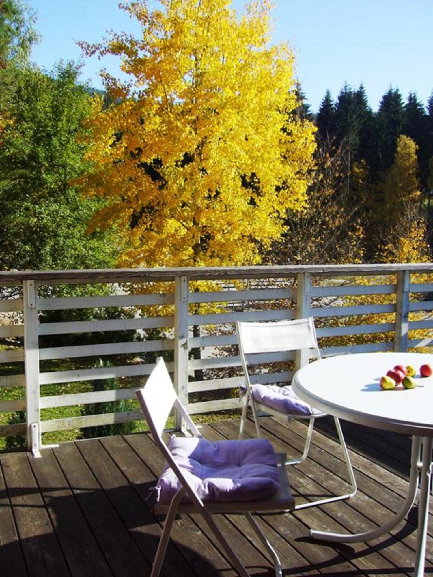 Apartment Schoenbachtal Drachselsried