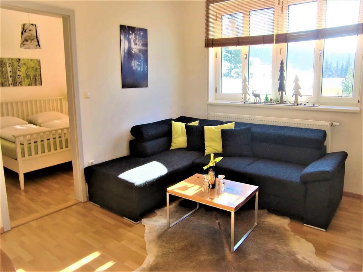 Schoenbachtal Apartment Drachselsried